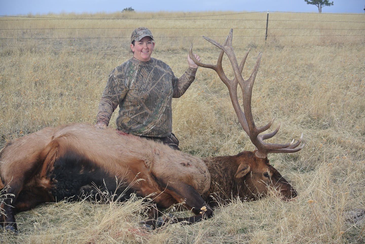 Hunting trophy